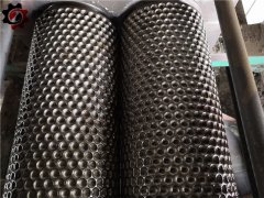 粉末肥料对辊挤压造粒机如何造颗粒的？